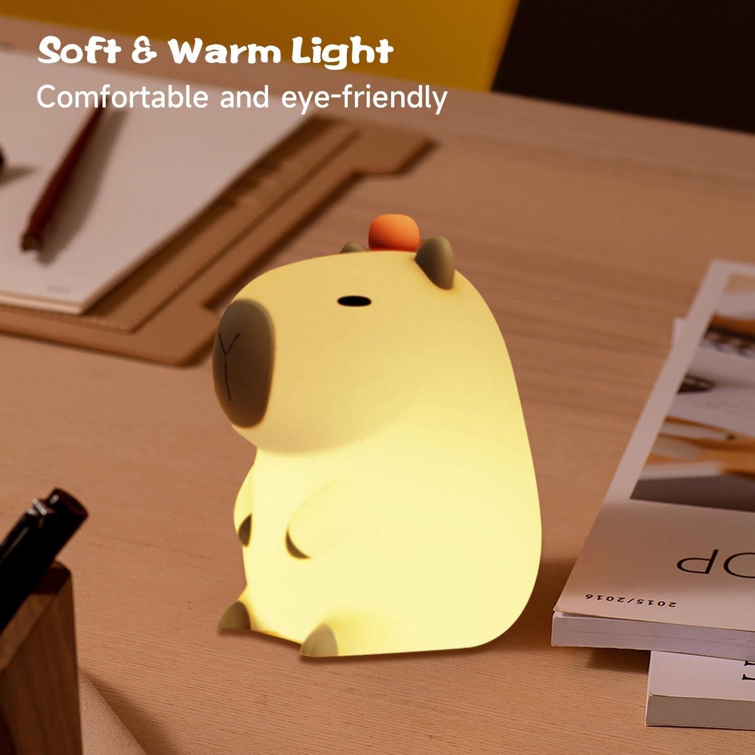 Soft  and warn light silicon light