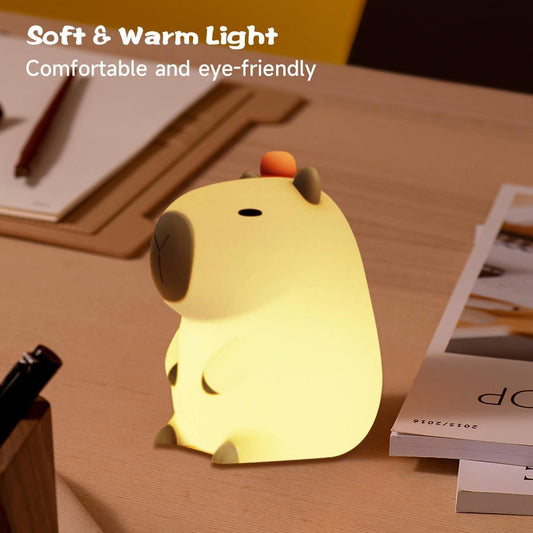 Soft  and warn light silicon light